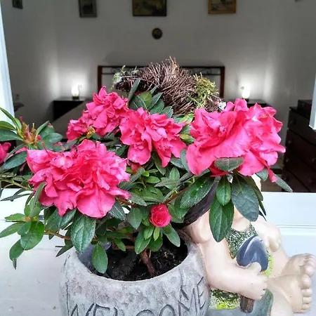 Homestay Mama *